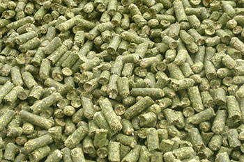 Alfalfa y Forrajes granulados