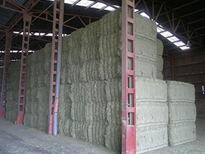 Almacenaje
